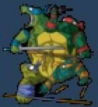 Ninja Turtlez